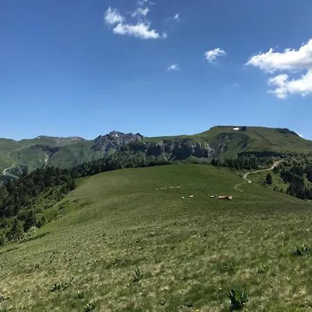 T2 De Standing A 300m Des Thermes Du Mont-dore Avec Parking Et Ascenseur - Fr-1-608-99 *